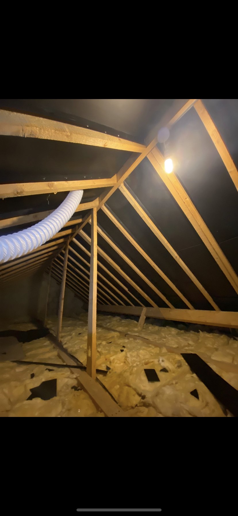 Attic before insulation - exposed joists and loose fibreglass