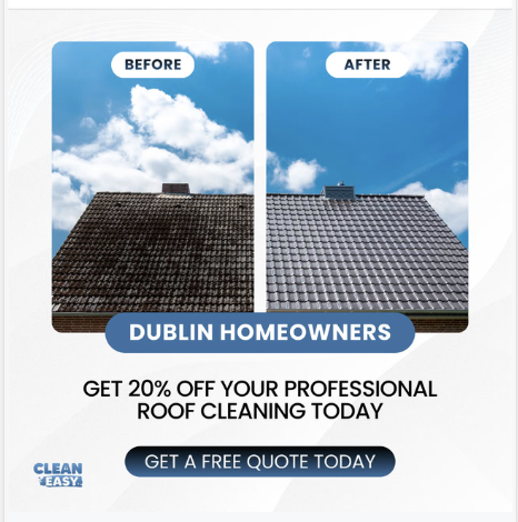 Clean Easy graphic ad: before and after roof cleaning - Dublin homeowners, get 20% off your professional roof cleaning today